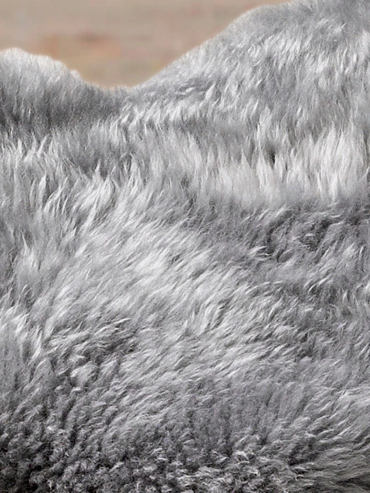 Heine Home Lammfell In Grau 4 Heine Home Lammfell In Grau – Bild 4