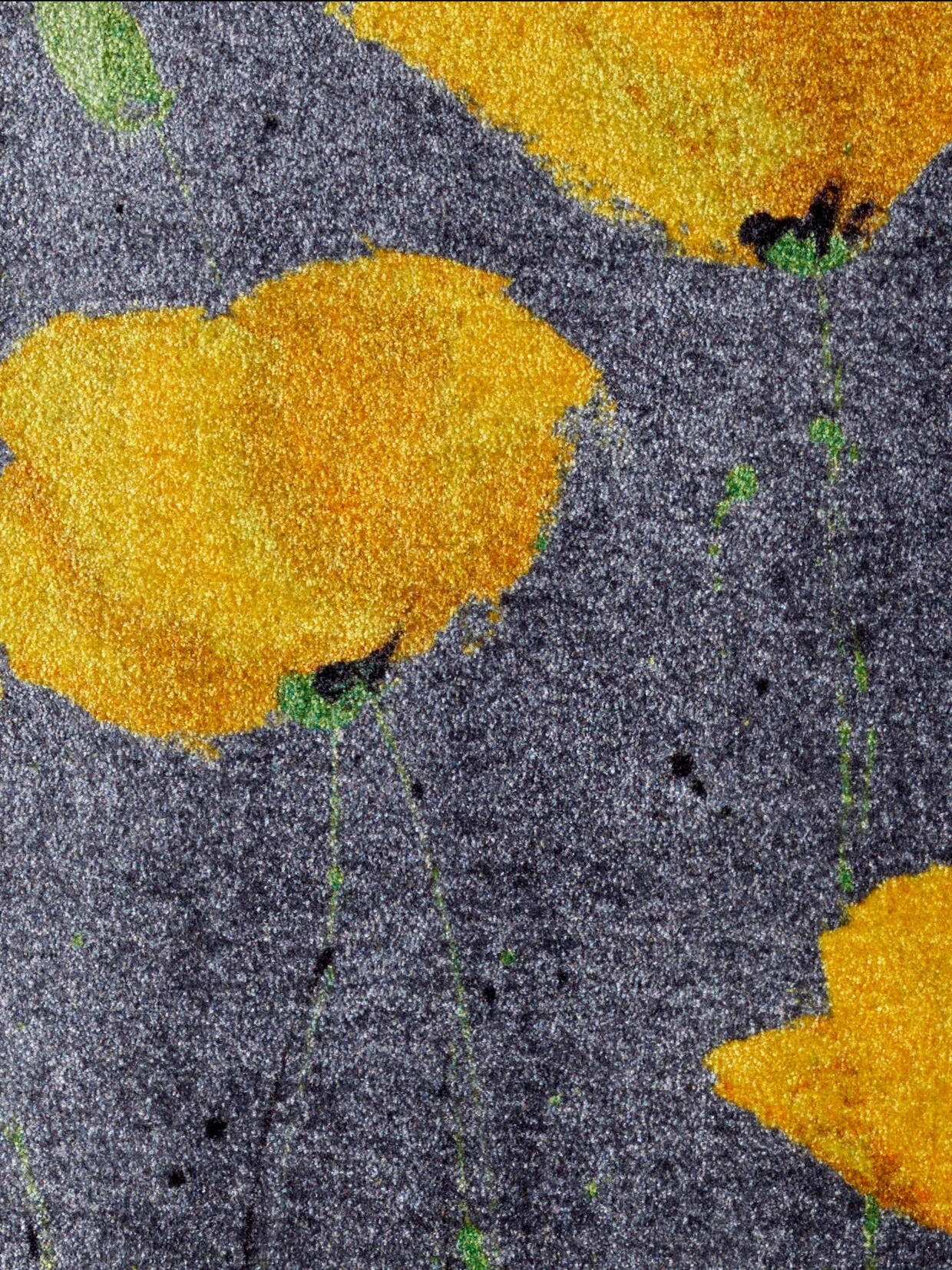 Wash&dry Fußmatte In Gelb 2 Wash&dry Fußmatte In Gelb – Bild 2